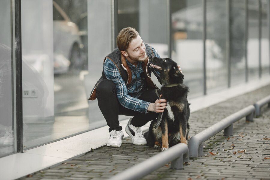 cole prevost dog